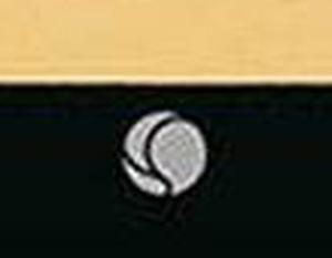 Enlarged Common rarity symbol cropped from the card